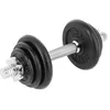 купить Гантель HMS 3611 Gantera 10kg (Bara+Discuri) SG03 в Кишинёве 