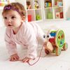 купить Hape Деревянная игрушка Улитка в Кишинёве 