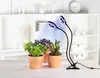 купить Настольная лампа Xavax 112696 Circle Plant Lamp в Кишинёве 