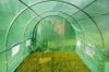 купить Парник miscellaneous Sera 12x3x2.5m (SMK12-3-2.5) в Кишинёве 