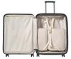 купить Чемодан Samsonite Paralux Hs 67/24 TSA Exp Olive (156525/1633) в Кишинёве 