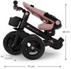 купить Велосипед-коляска KinderKraft KRAVEO02PNK0000 Aveo 2 Plus Pink в Кишинёве 