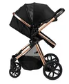 купить Детская коляска MoMi Limuru 2/1 Black в Кишинёве 