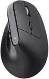 купить Мышь Trust TR25146 Bayo+, Black в Кишинёве 