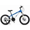 cumpără Bicicletă New World YUE FENG Bicicleta cu 2 roti, 20", albastru-alb, 2362D în Chișinău 
