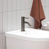 купить Смеситель для биде Ravak Baterie Espirit bide graphite ES 056.20GB (X070318) в Кишинёве 