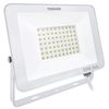 cumpără Reflector Toshiba 00173312 Projector LED IP65 50W 6500K (Alb) în Chișinău 