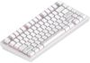 cumpără Tastatură gaming Dark Project ALU Terra Nostra White în Chișinău 
