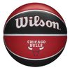 купить Мяч Wilson 10159 Minge baschet N7 NBA Team Tribute Chi Bull WTB1300XBCHA в Кишинёве 