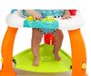 cumpără Bright Starts Centru de activități Bounce Bounce Baby în Chișinău 