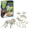 купить Игрушка As Kids 1026-50740 Descopera Dinozaurul Triceratops в Кишинёве 
