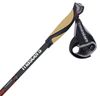 cumpără Bețe pentru trekking Masters NW PHYSIQUE 0.8 Carbon 125 cm 01N0119 125 în Chișinău 