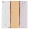 купить Аксессуар для пеленания Kikka Boo 31103010087 Pelinci de muselina Hedge-hugs, 75x75cm, 3buc в Кишинёве 