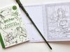 купить Harry Potter Magical Creatures: Postcard / Colouring Book в Кишинёве 