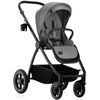 купить Детская коляска Lionelo Carucior 2in1 Meril Grey Stone в Кишинёве 
