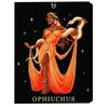 купить Картина по номерам BrushMe BSB0045FC (fără cutie) Ophiuchus в Кишинёве 
