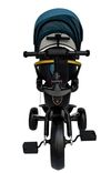 купить Велосипед-коляска Richi (95834) Tricicleta verde pentru copii (JTRX1) в Кишинёве 