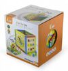 купить Игрушка Viga 58506 5-in-1 Toy Cube в Кишинёве 