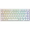 купить Игровая клавиатура Dark Project ALU Terra Nova White - Wireless в Кишинёве 