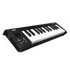 купить Аксессуар для музыкальных инструментов Korg microKey-25 midi keyboard в Кишинёве 