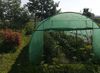 Туннельная садовая теплица 12х3х2 м, площадь 36 кв.м, армированная пленка, 2 двери, зеленый цвет 