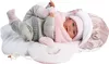купить Кукла Llorens 74004 Mimi Llorona Capazo Porta Bebe 40 см в Кишинёве 