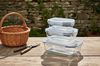 cumpără Container alimentare Borart 146120PF Set 3 containere (380+640+1040) în Chișinău 