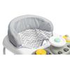купить Ходунок Toyz 20767 Timon Graphite в Кишинёве 