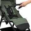 купить Детская коляска Lionelo Iva Green Forest в Кишинёве 
