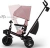 купить Велосипед-коляска KinderKraft KRAVEO02PNK0000 Aveo 2 Plus Pink в Кишинёве 