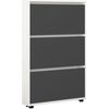 купить Полка для обуви Mobildor-Lux Leo Slim 100x16x125H cm White/Anthracite в Кишинёве 