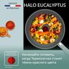 купить Сковорода Tefal G0167702 Halo Eucalyptus Wok 26cm в Кишинёве 