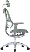 купить Офисное кресло ART Mirus IOO Elite 2 Green T-168-B6 IOOE2-AG-HAM-5D-L в Кишинёве 