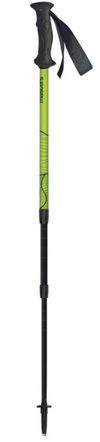 cumpără Bețe pentru trekking Masters SCOUT Lime (01S1825) în Chișinău 