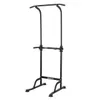 купить Турник inSPORTline 2703 Aparat multifunctional Power Tower PT60 IN21512 в Кишинёве 