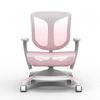 купить Кресло  SIHOO Q5A Light Pink в Кишинёве 
