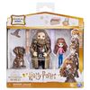 купить Игрушка Spin Master 6061833 Harry Potter fig. Hermione and Hagrid в Кишинёве 