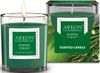 cumpără Aparat de aromatizare Areon Home Perfume Sticks 150ml + свеча (Nordic Forest) în Chișinău 