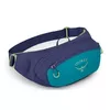 cumpără Geantă de talie Osprey Daylite Waist blue spikemoss/alkln în Chișinău 