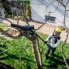 купить Пила Metabo MS 18 LTX 15 + 628714000 (691229000) в Кишинёве 