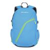 купить Рюкзак Husky Nexy 20 L, WAN3H3-7279 в Кишинёве 