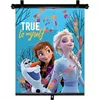 купить Солнцезащитная шторка Seven 9343 Шторка от солнца подъемная Frozen в Кишинёве 