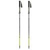 cumpără Bețe pentru trekking Masters TRECIME Carbon Lite 01S2601 în Chișinău 