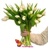 Белые голландские  тюльпаны поштучно
