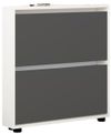 купить Полка для обуви Mobildor-Lux Leo Slim 50x16x86H cm White/Anthracite в Кишинёве 