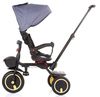 cumpără Bicicletă-cărucior Chipolino 360 Quick Fold Graphite (TRKQF0232GT) în Chișinău 