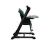 cumpără Scaun de masă Caretero 7651 Indigo Black Green în Chișinău 