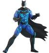 купить Игрушка Spin Master 6060343 Batman Bat Teh Action Figure 12 inch в Кишинёве 