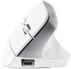 купить Мышь Trust TR25399 Bayo+, White в Кишинёве 