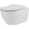 купить Унитаз Ege Vitrifye KNIDOS rimoff (88303) white в Кишинёве 